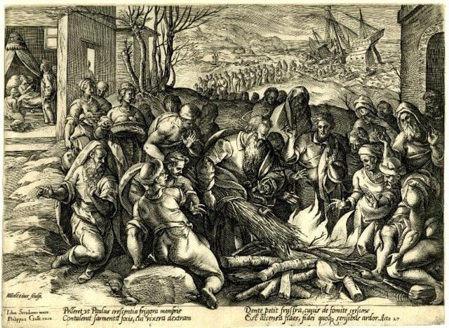 The Liquid Shark Tooth